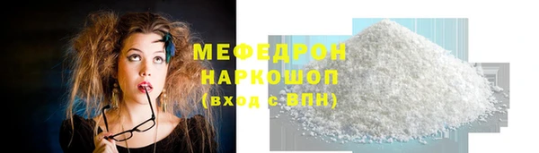 индика Елизово