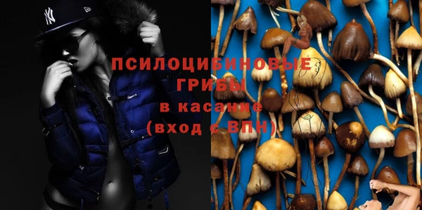 мяу мяу кристалл Дмитриев