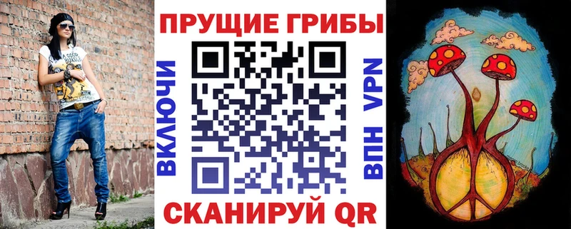 Галлюциногенные грибы Psilocybe  купить  цена  Черепаново 